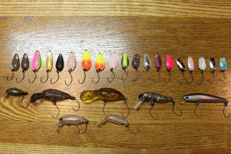 小菅トラウトガーデン 釣果