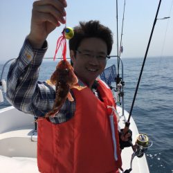 うさぎ丸 釣果
