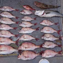 FISHING RISKY 釣果