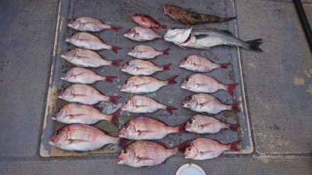 FISHING RISKY 釣果