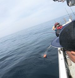 第二清洋丸 釣果