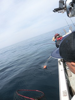 第二清洋丸 釣果