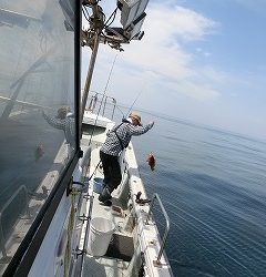 第二清洋丸 釣果