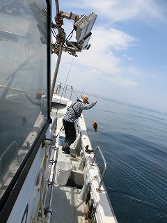 第二清洋丸 釣果