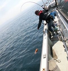 第二清洋丸 釣果