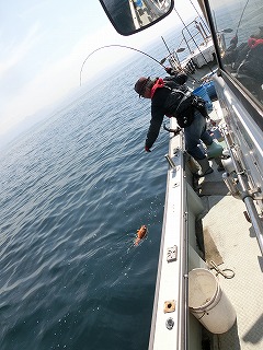 第二清洋丸 釣果