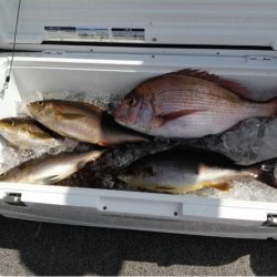 第二大福丸 釣果