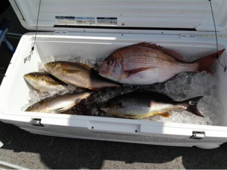 第二大福丸 釣果