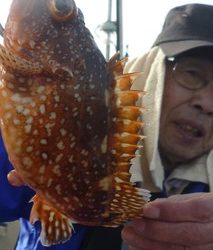 松福丸 釣果