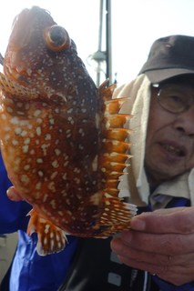 松福丸 釣果