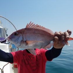 遊漁船　ニライカナイ 釣果