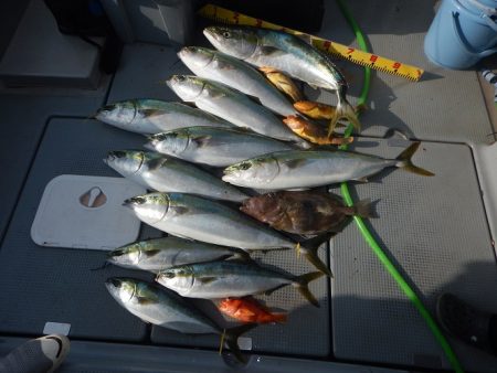 sea boss シーボス 釣果