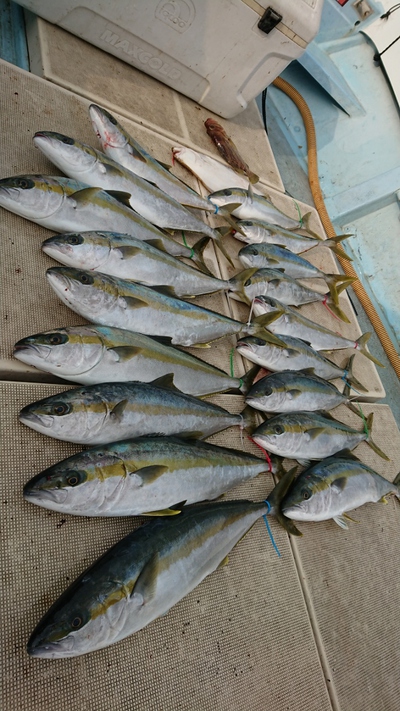 旭星釣りセンター 釣果