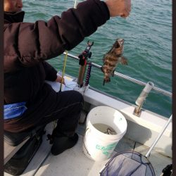 内浜丸 釣果