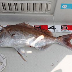 松本釣船２ 釣果