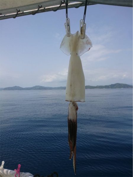 マタウマリンサービス 釣果