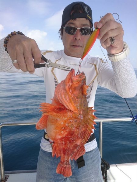 マタウマリンサービス 釣果