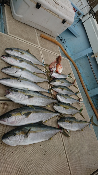 旭星釣りセンター 釣果