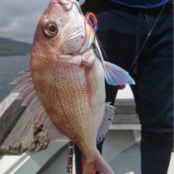 マタウマリンサービス 釣果