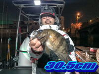 オーシャンマスター 釣果