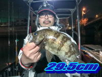 オーシャンマスター 釣果