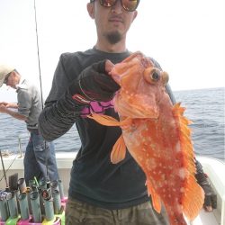 マタウマリンサービス 釣果