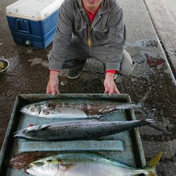 明神釣船 釣果