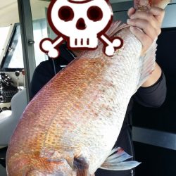 オーフリー 釣果