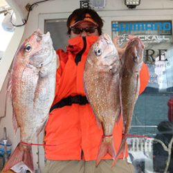 松本釣船２ 釣果