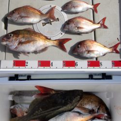 来温丸（らいおんまる） 釣果