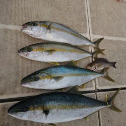 旭星釣りセンター 釣果