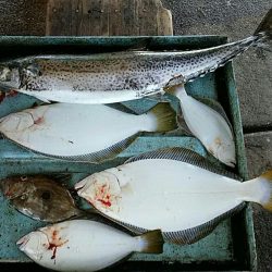 明神釣船 釣果