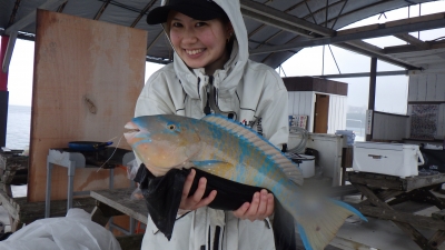 本部釣りイカダ 釣果