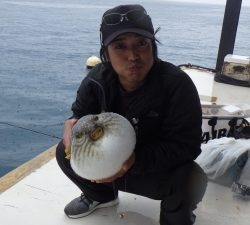 本部釣りイカダ 釣果