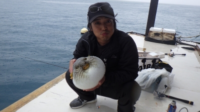 本部釣りイカダ 釣果
