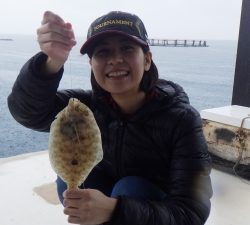 本部釣りイカダ 釣果