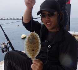 本部釣りイカダ 釣果