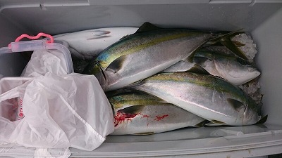 海龍丸(福岡) 釣果