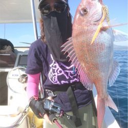 マタウマリンサービス 釣果