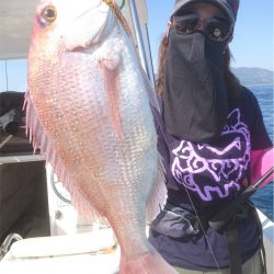 マタウマリンサービス 釣果