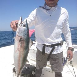 マタウマリンサービス 釣果