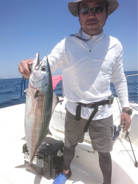 マタウマリンサービス 釣果