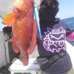 マタウマリンサービス 釣果