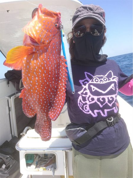 マタウマリンサービス 釣果