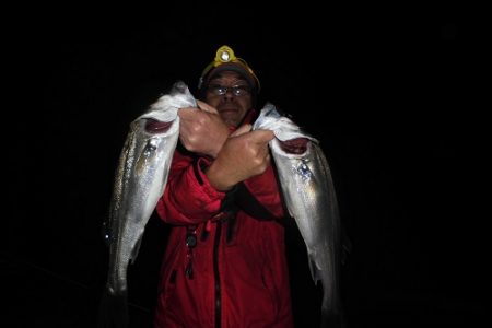 ルアー船マヒマヒ 釣果