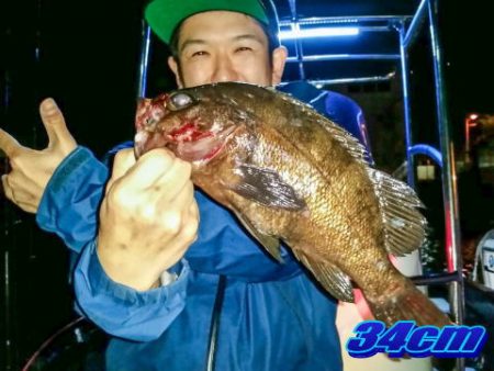 オーシャンマスター 釣果