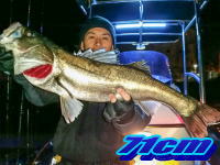 オーシャンマスター 釣果