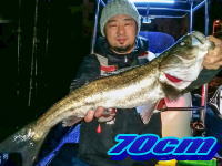 オーシャンマスター 釣果