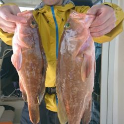 オーフリー 釣果