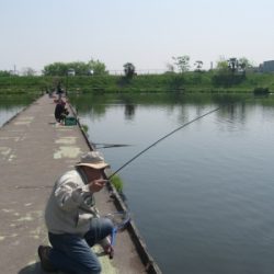 吉羽園 釣果